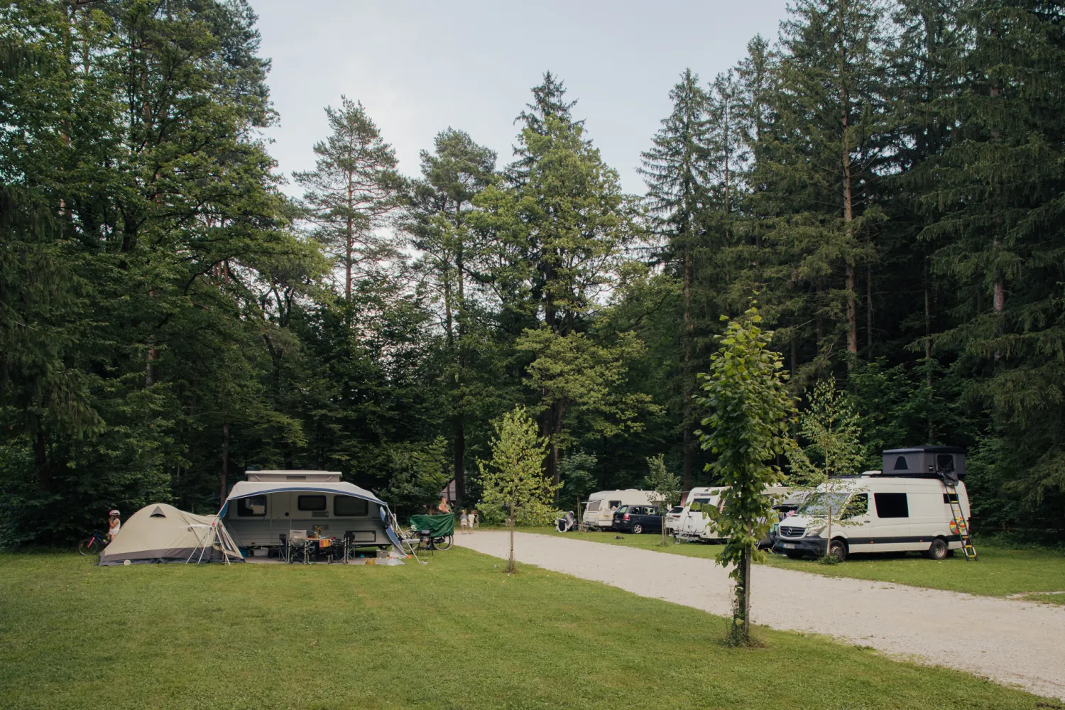 forest-camping-mozirje-mozirje-rtihx