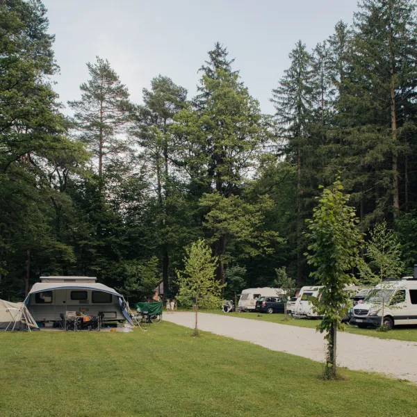 forest-camping-mozirje-mozirje-rtihx