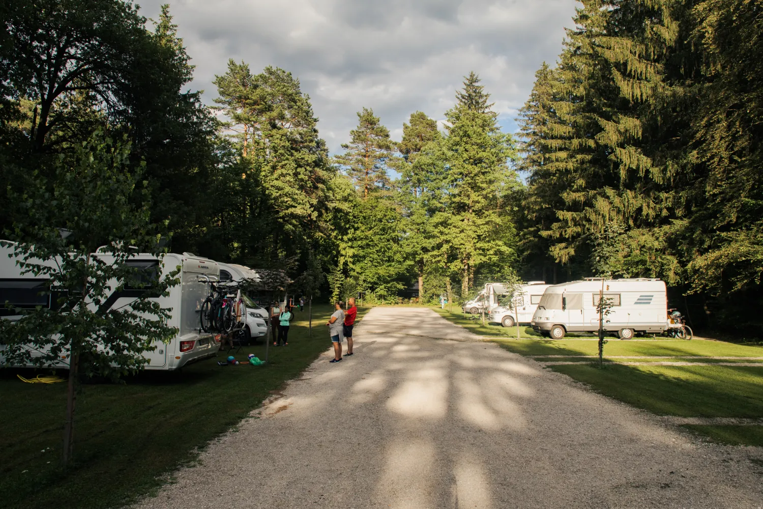 forest-camping-mozirje-mozirje-t6v1q