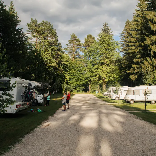 forest-camping-mozirje-mozirje-t6v1q