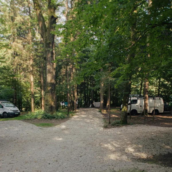 forest-camping-mozirje-mozirje-tcbss