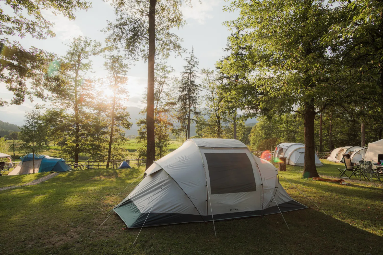 Forest-Camping-Mozirje_2025_foto-andrejlamut_WEB-177