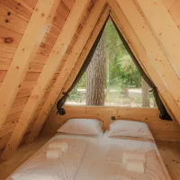 Forest-Camping-Mozirje_2025_foto-andrejlamut_WEB-210