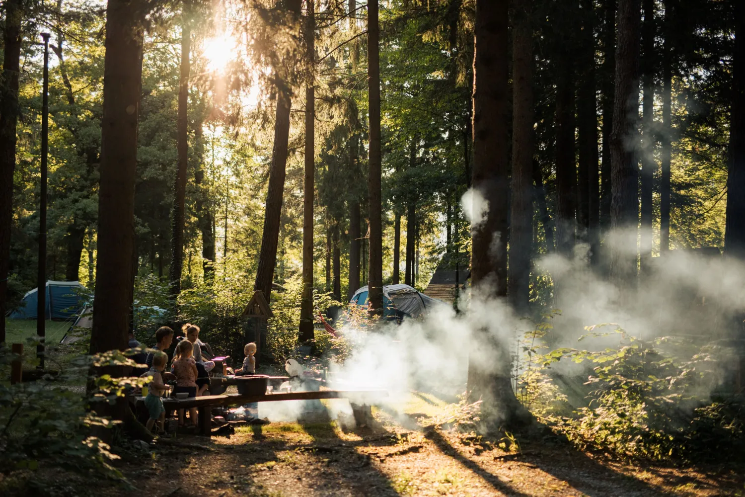 forest-camping-mozirje-mozirje-vtu6g