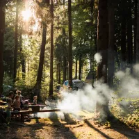 forest-camping-mozirje-mozirje-vtu6g