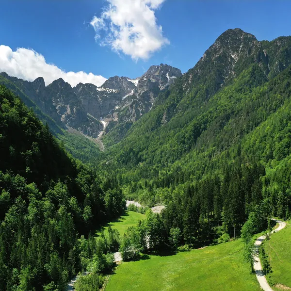 forest-camping-mozirje-mozirje-wx1o1