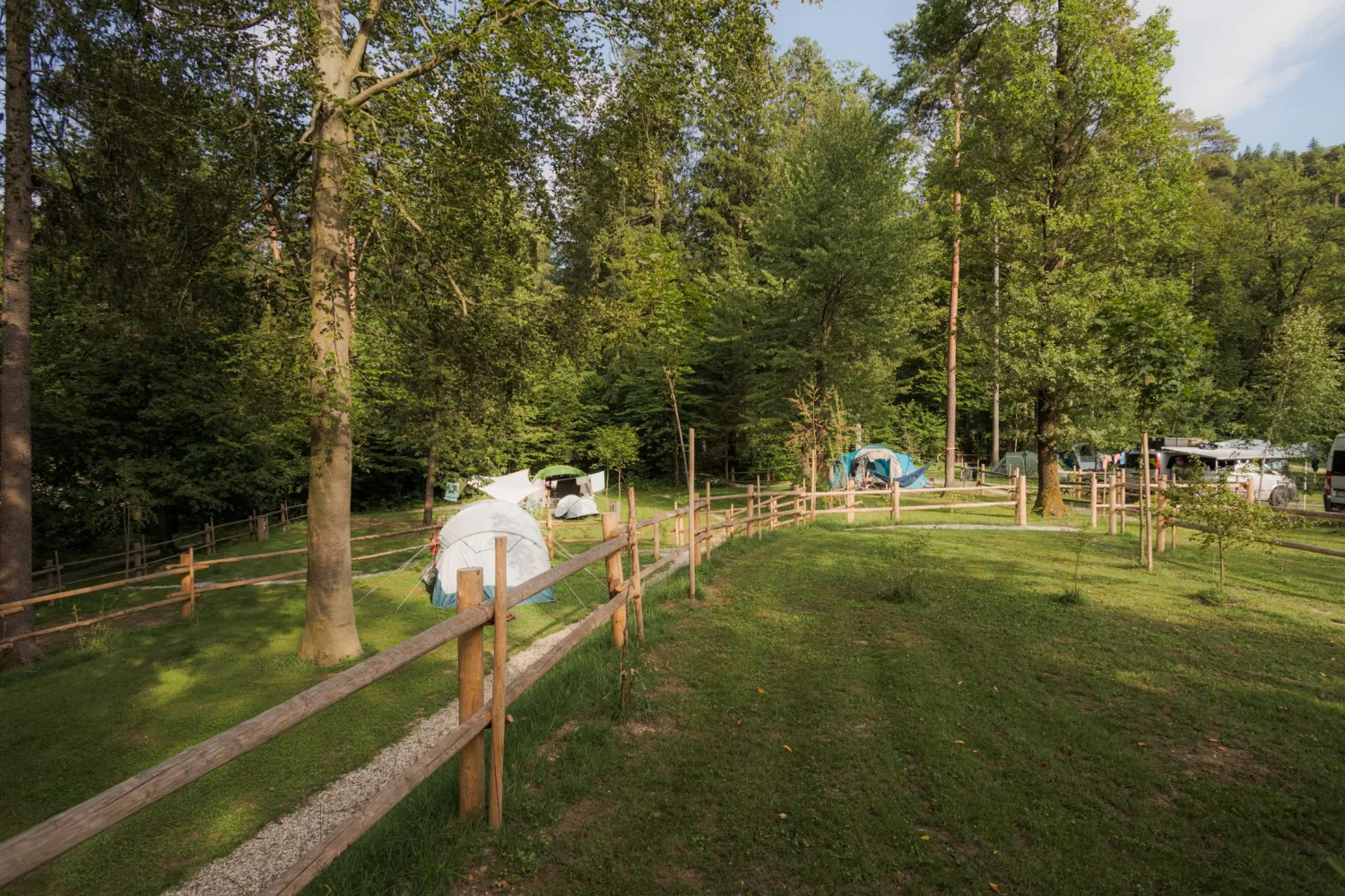 06_Forest-Camping-Mozirje_2025_foto-andrejlamut_WEB-134