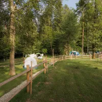 06_Forest-Camping-Mozirje_2025_foto-andrejlamut_WEB-134
