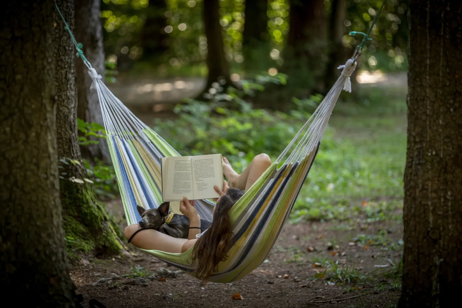 forest-camping-mozirje-mozirje-xtfsh