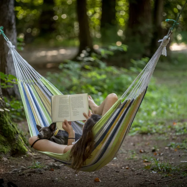 forest-camping-mozirje-mozirje-xtfsh