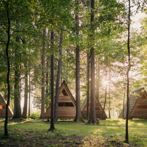forest-camping-mozirje-mozirje-xulie