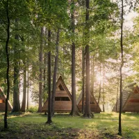 forest-camping-mozirje-mozirje-xulie