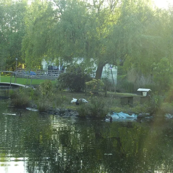 minicamping-klein-sonsbeek-schoonebeek-5ljxc