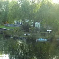 minicamping-klein-sonsbeek-schoonebeek-5ljxc