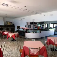 gardenia-domaso-ugm50