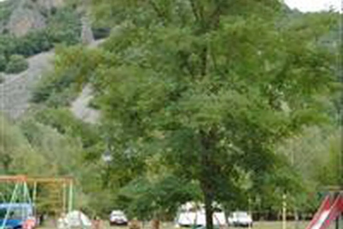 camping-de-lecureuil-champs-sur-tarentaine-gyv1b