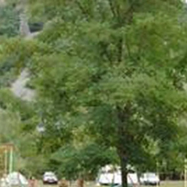 camping-de-lecureuil-champs-sur-tarentaine-gyv1b