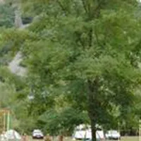 camping-de-lecureuil-champs-sur-tarentaine-gyv1b