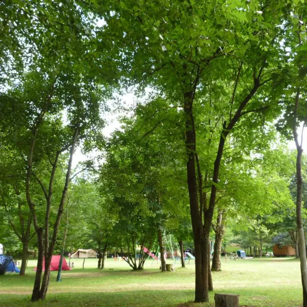 camping-de-lecureuil-champs-sur-tarentaine-mxpjj
