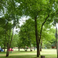 camping-de-lecureuil-champs-sur-tarentaine-mxpjj