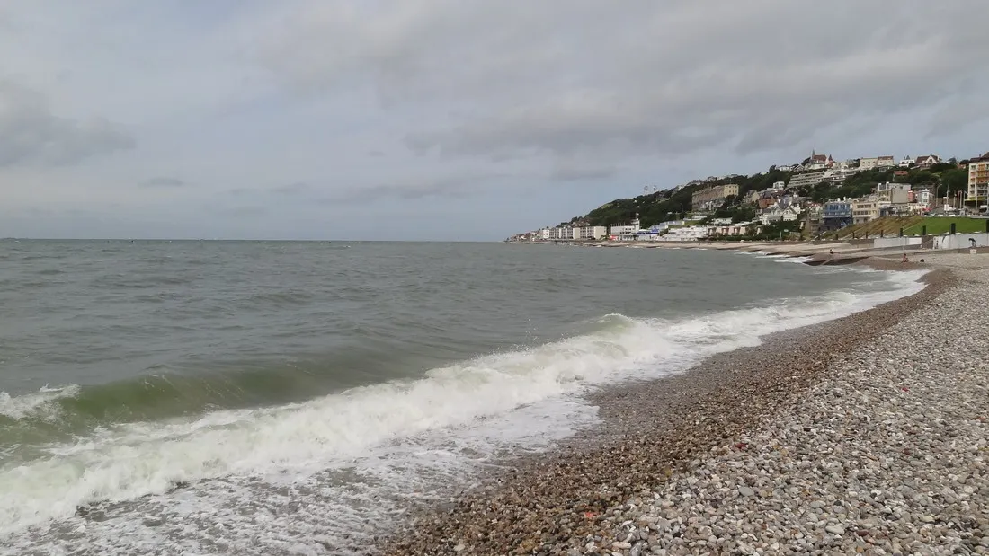 la-forecirct-jumieges-seine-maritime-7c5yy