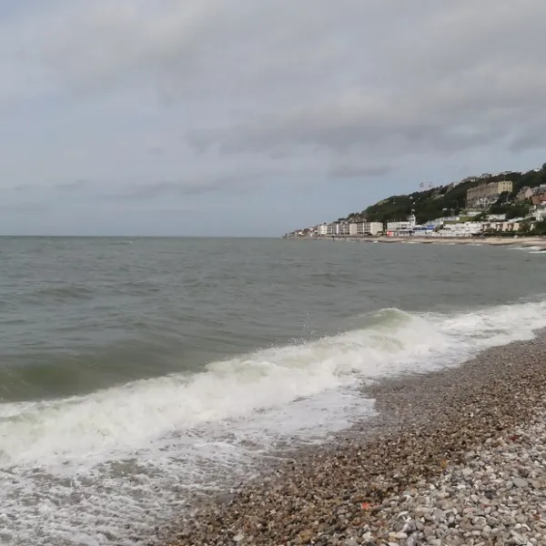 la-forecirct-jumieges-seine-maritime-7c5yy