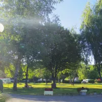camping-municipal-du-passeloup-jonchery-netrr
