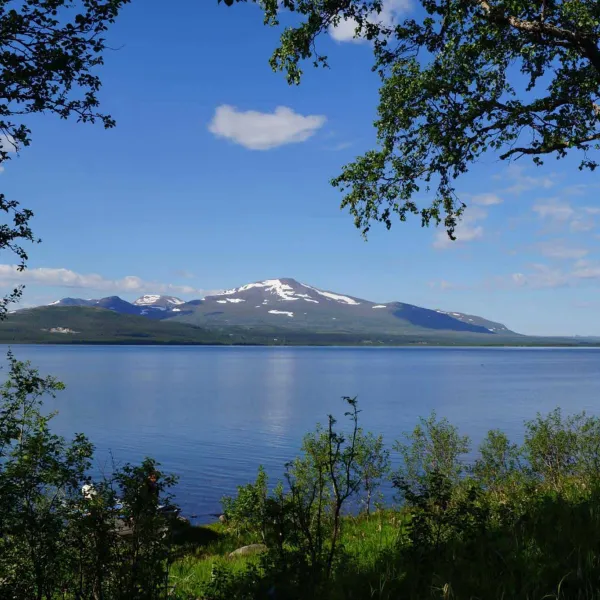 Camp Ånn