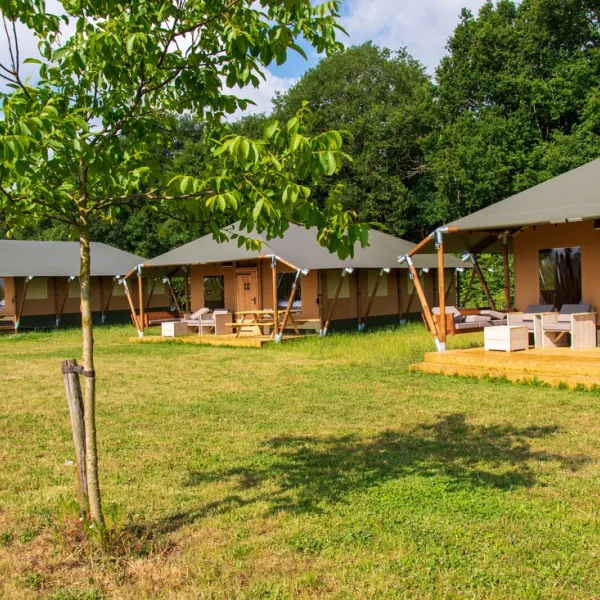 glamping-de-bosweide-alphen-nb-5bzyk