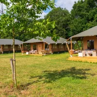 Glamping De Bosweide