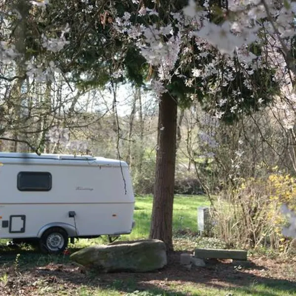 campingplatz-grasselmuhle-sasbach-1qe3a