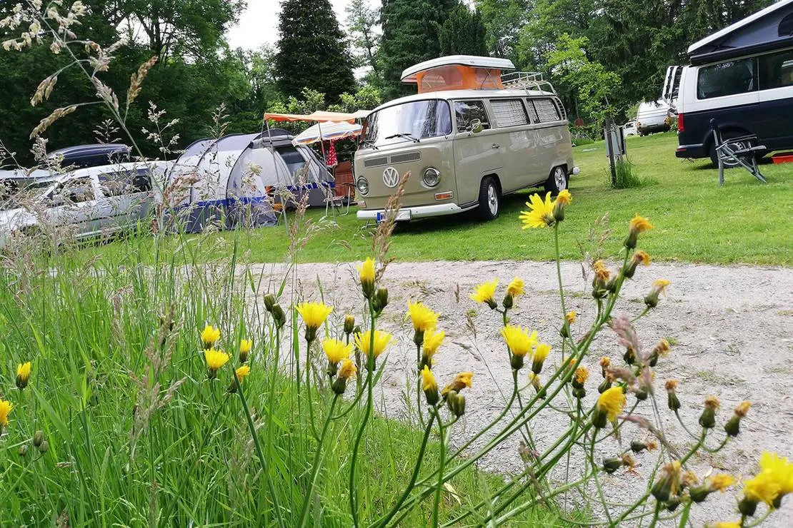 campingplatz-grasselmuhle-sasbach-4i6uk