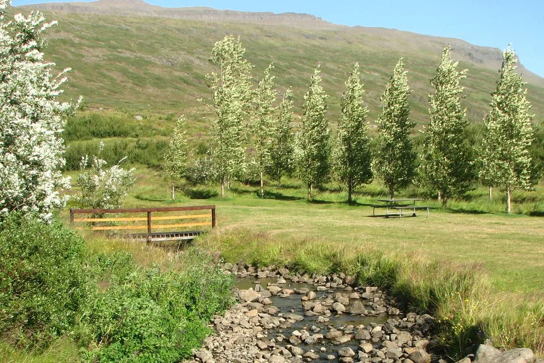tjaldsvaedid-faskrudsfirdi-faskrudsfjordur-mpmfp