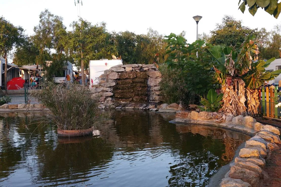 camping-ria-formosa-cabanas-ggas7