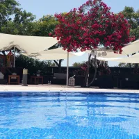 camping-ria-formosa-cabanas-wrw52