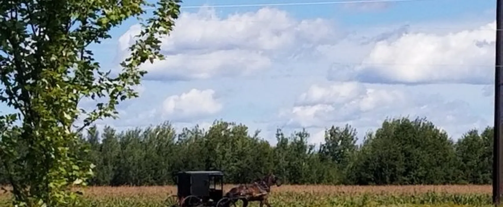 Buck Run Campground