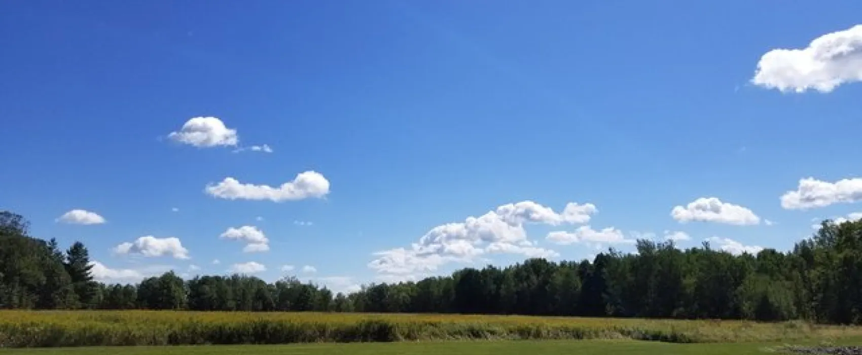 Buck Run Campground