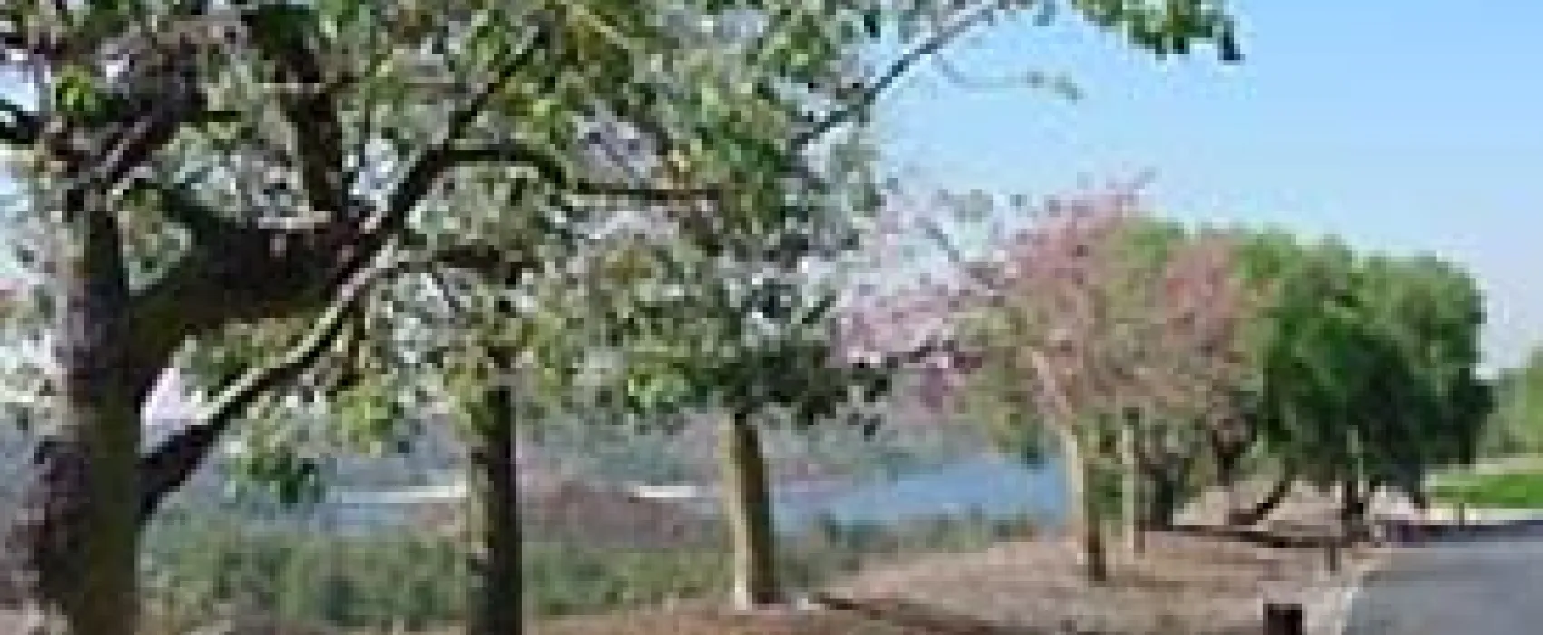 East Shore RV Park