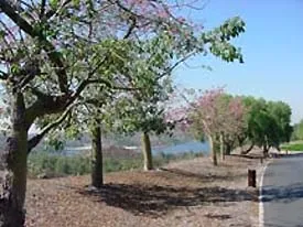 east-shore-rv-park-san-dimas-x3lzd
