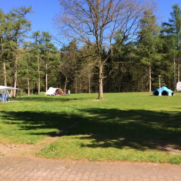 park-het-speulderbos-garderen-b1aha