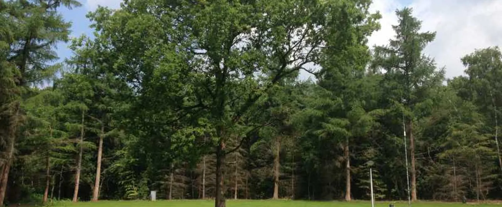 Park Het Speulderbos