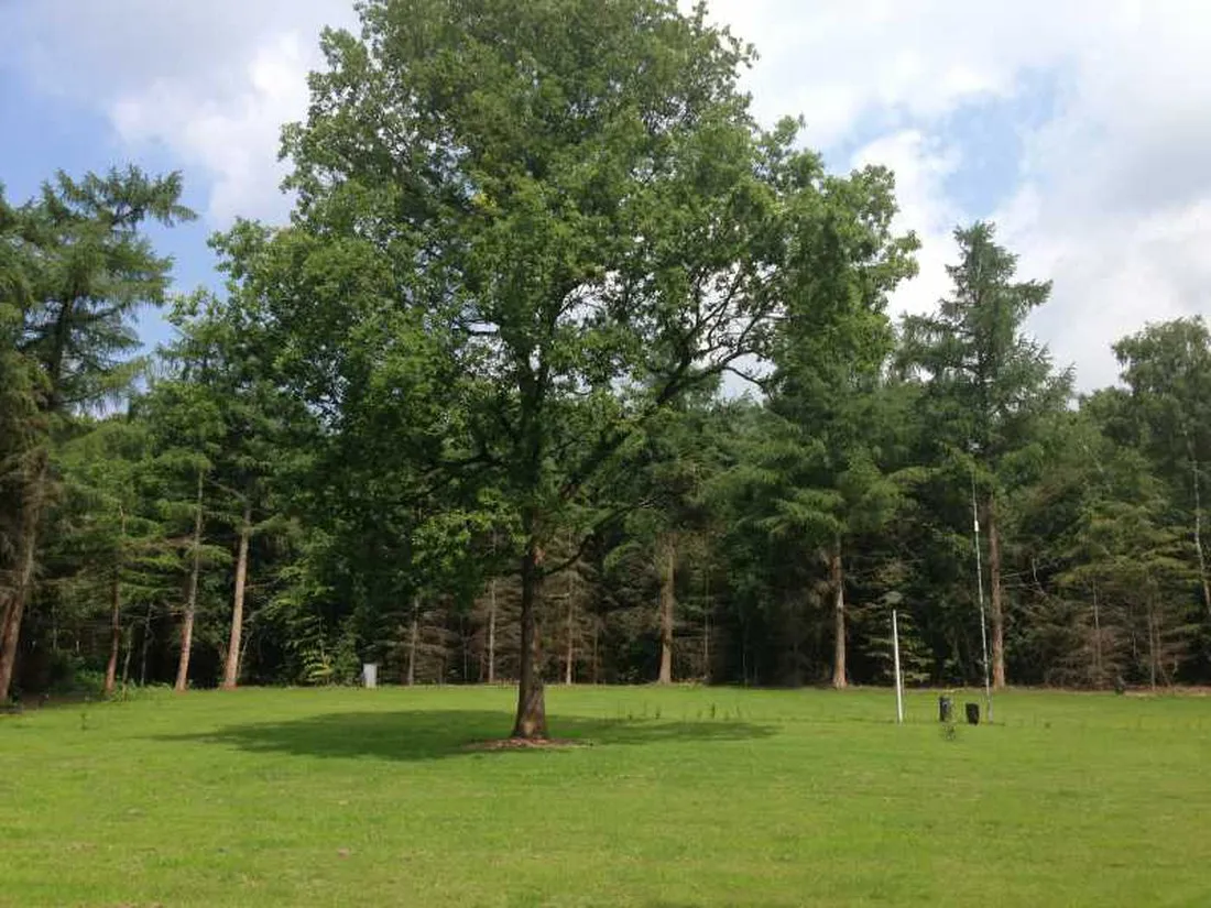 park-het-speulderbos-garderen-vdqrf