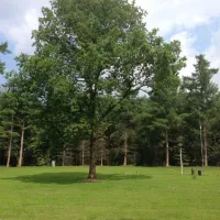 park-het-speulderbos-garderen-vdqrf