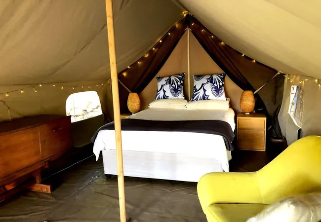 tegwaan-glamping-18km-after-hospital-waterval-boven-dqvdo