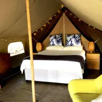 tegwaan-glamping-18km-after-hospital-waterval-boven-dqvdo