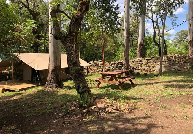 tegwaan-glamping-18km-after-hospital-waterval-boven-erlii