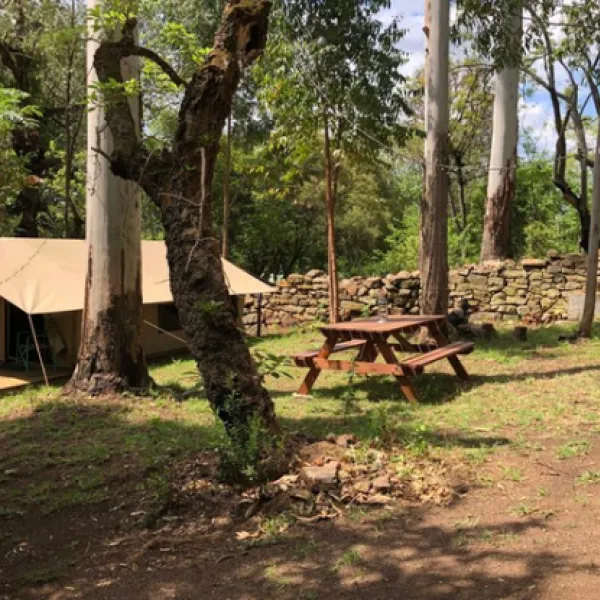 tegwaan-glamping-18km-after-hospital-waterval-boven-erlii
