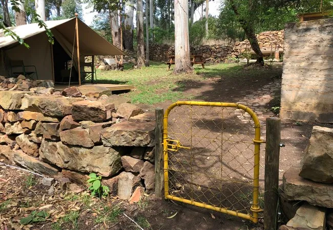 tegwaan-glamping-18km-after-hospital-waterval-boven-gemy5