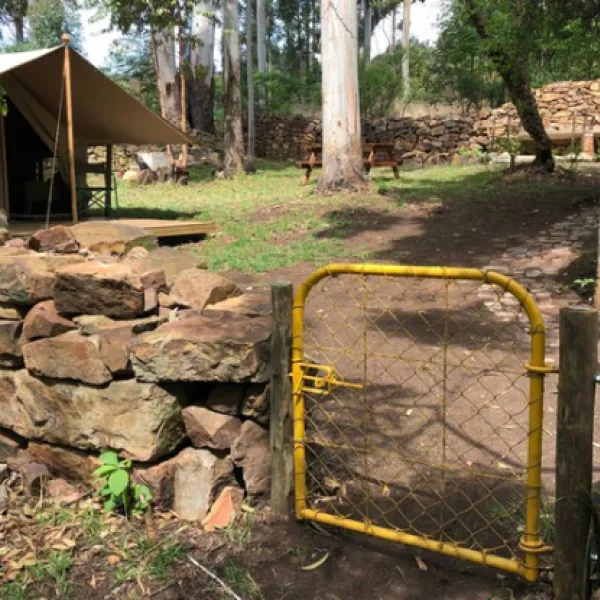 tegwaan-glamping-18km-after-hospital-waterval-boven-gemy5