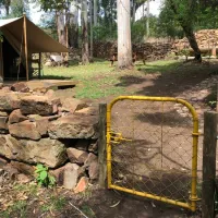 Tegwaan Glamping